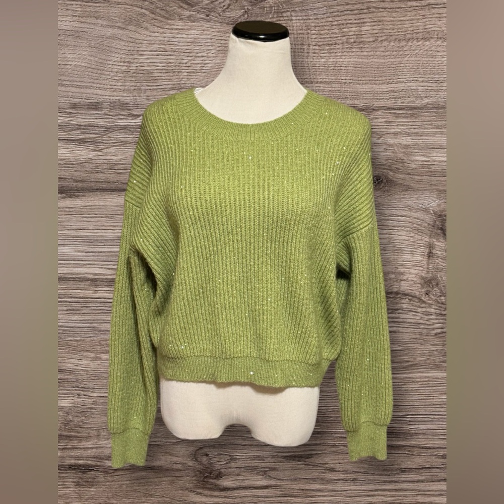 NWT Lucy Paris Crop Sequined Sweater
